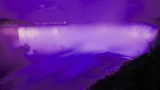 Illustration for article titled Landmarks Around the World Went Purple in Honor of Prince